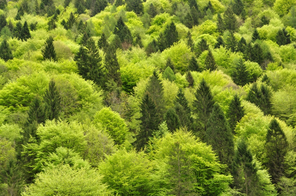 Parco delle Dolomiti Bellunesi